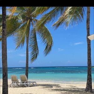 Meet your Posher, Collette